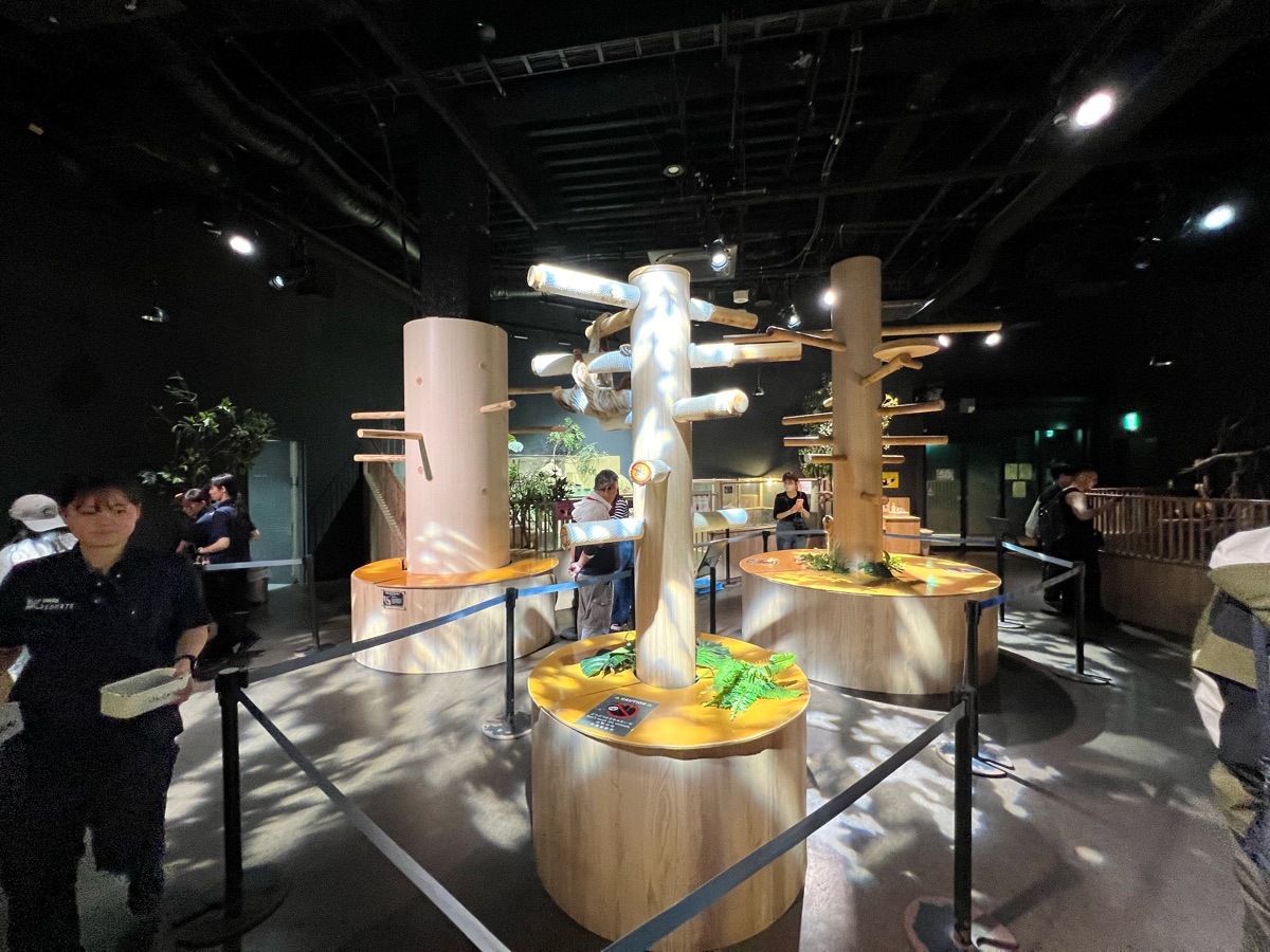 DMM Kariyushi水族館 | 去趣 chicTrip