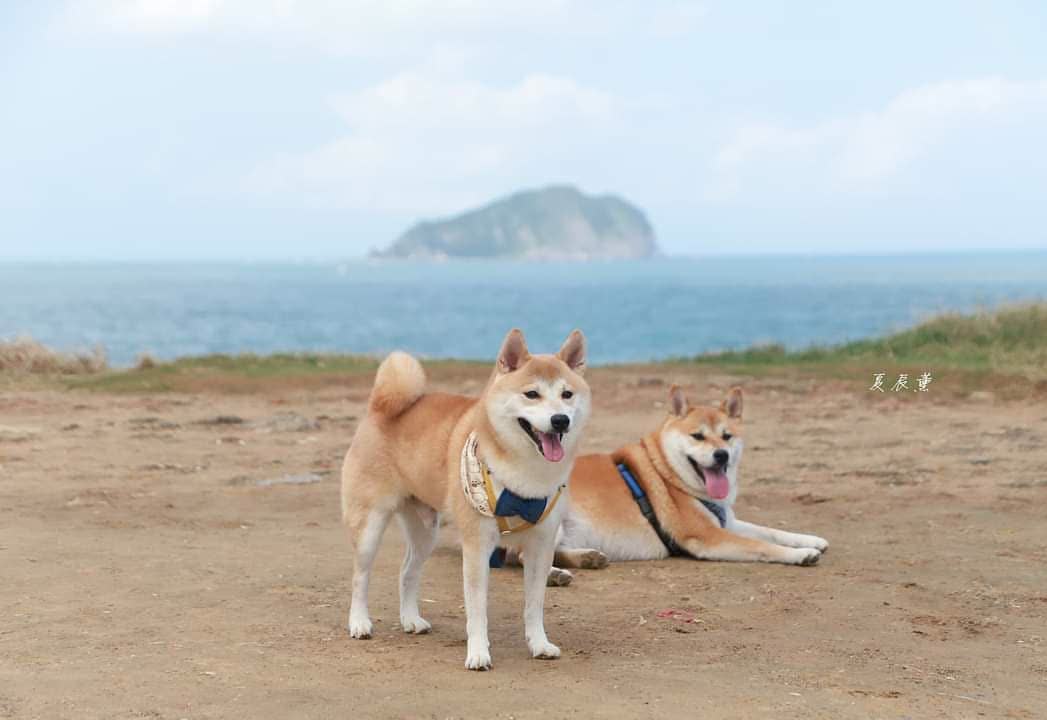 潮境公園 | 去趣 chicTrip