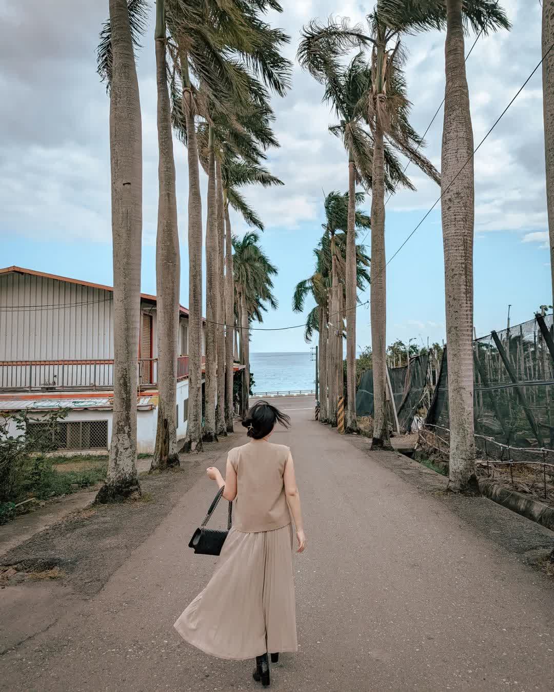 華源椰林大道 | 去趣 chicTrip