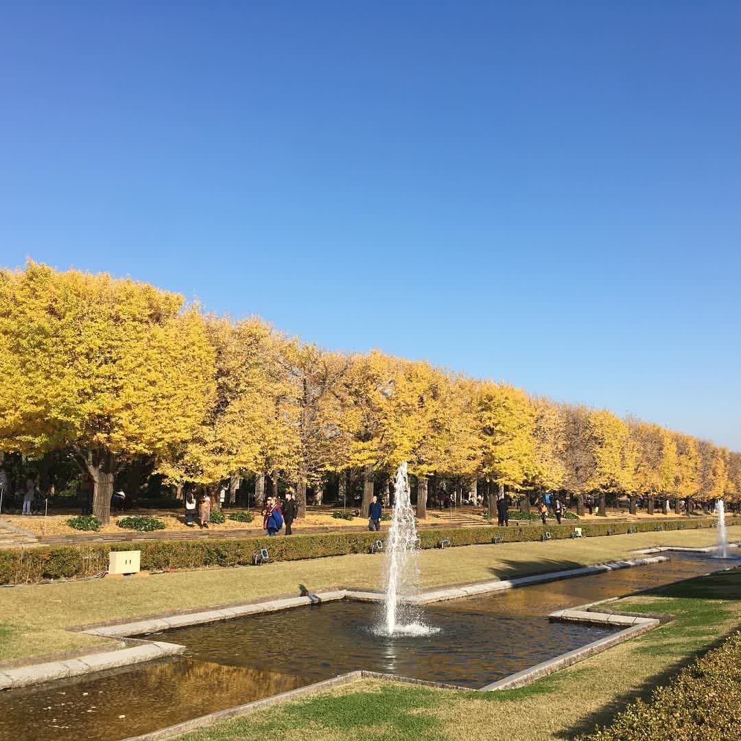 昭和紀念公園 | 去趣 chicTrip