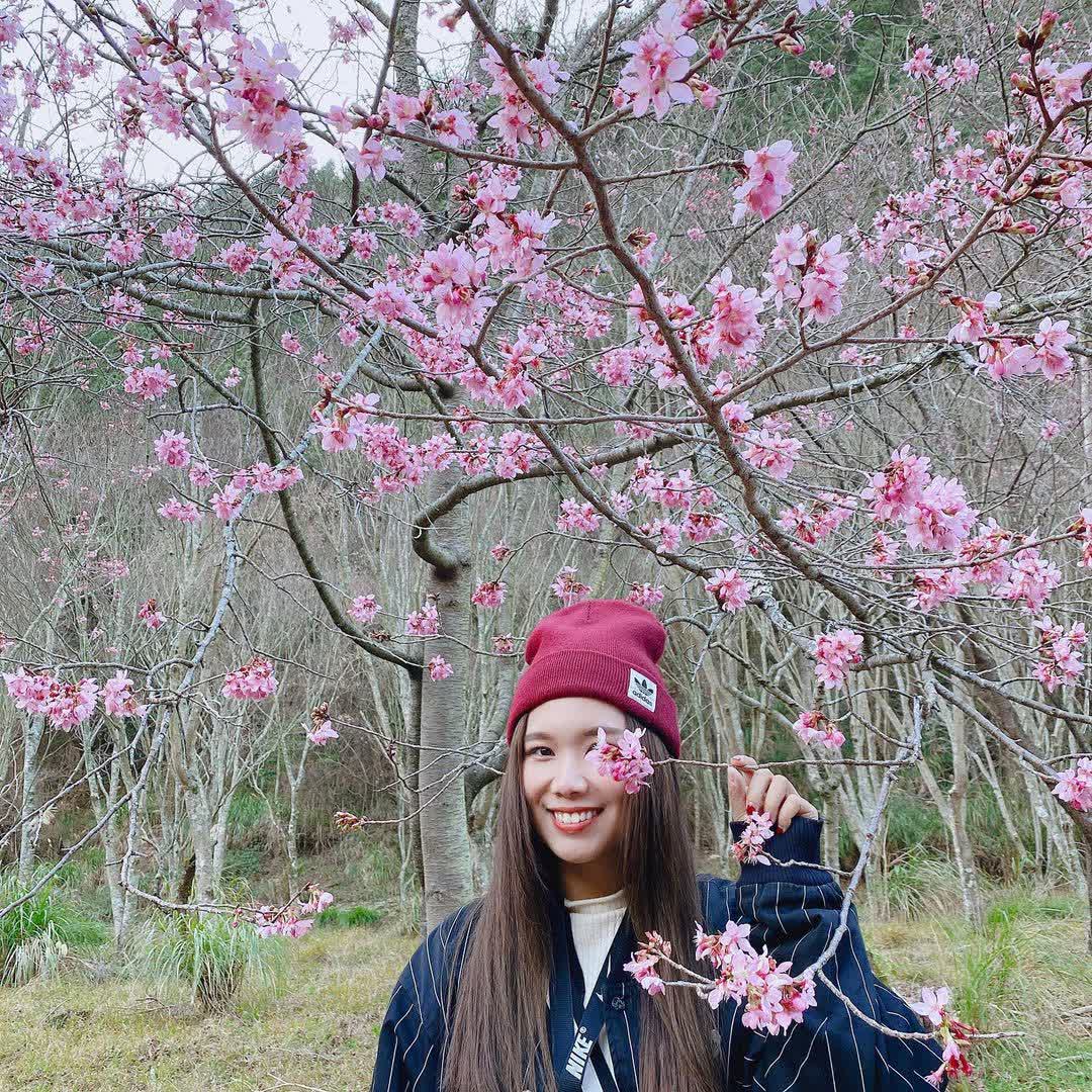 武陵農場 | 去趣 chicTrip