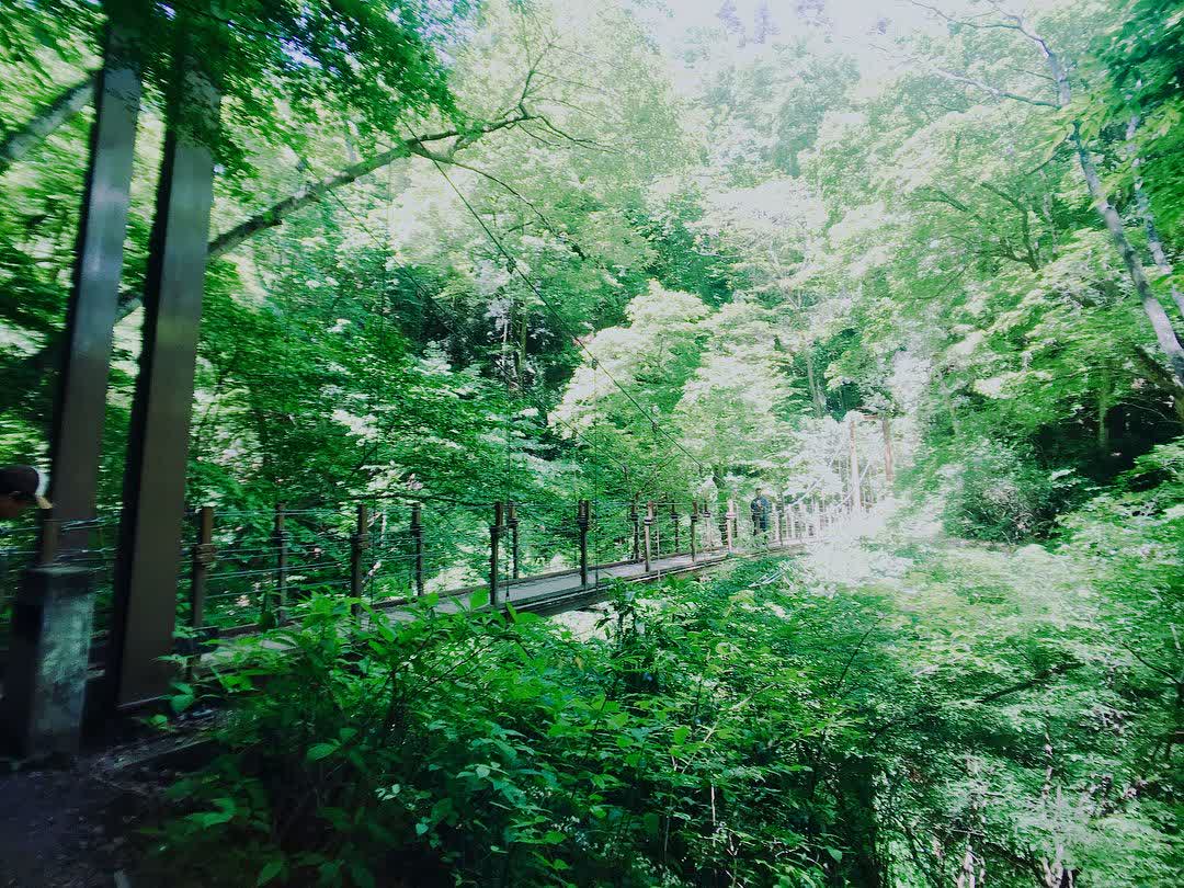 高尾山 | 去趣 chicTrip