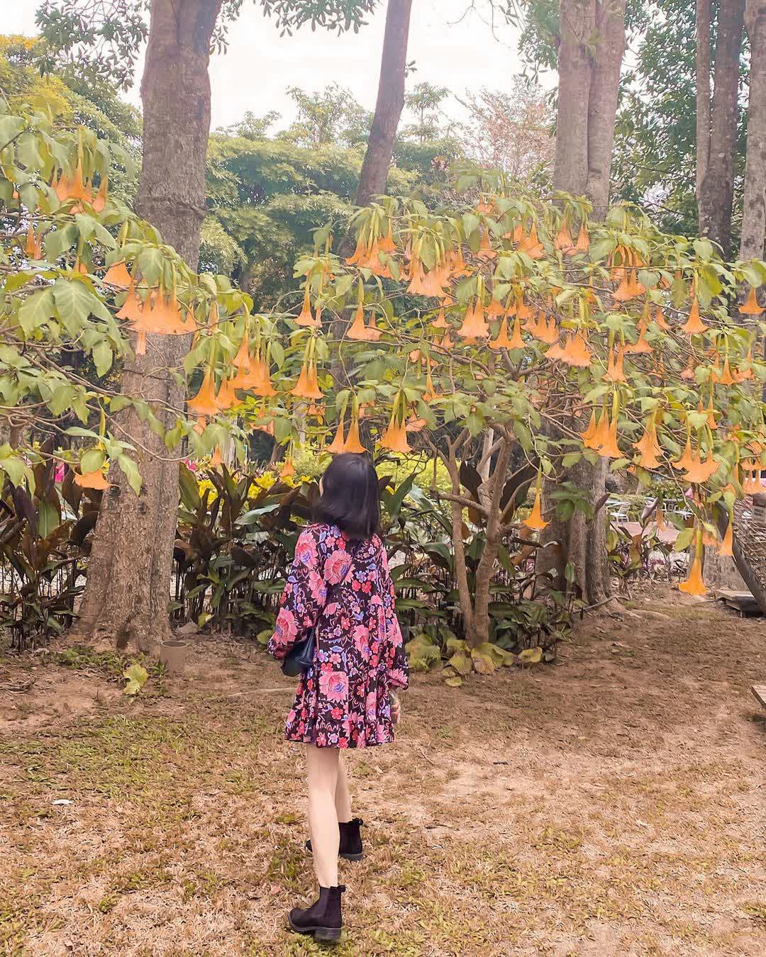 初鹿牧場 | 去趣 chicTrip