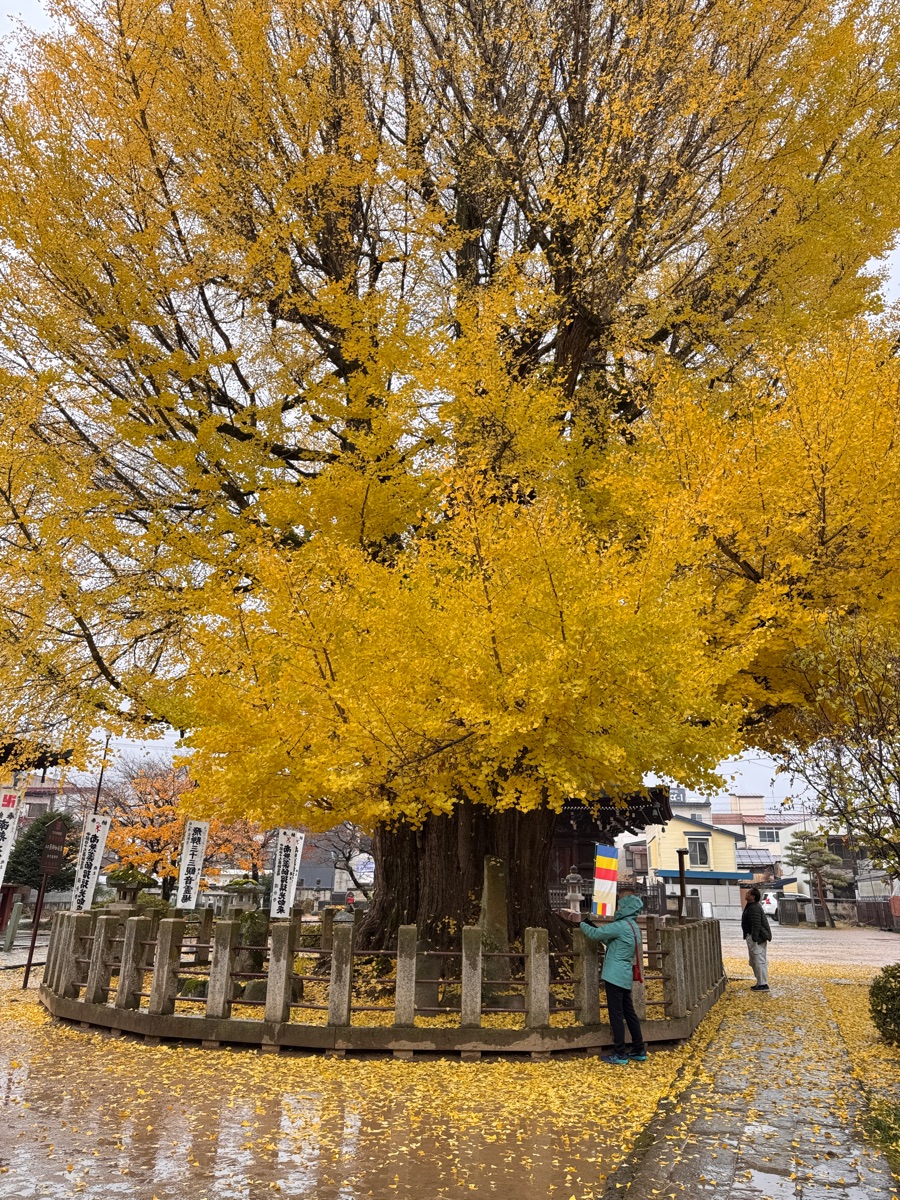 飛驒國分寺 | 去趣 chicTrip
