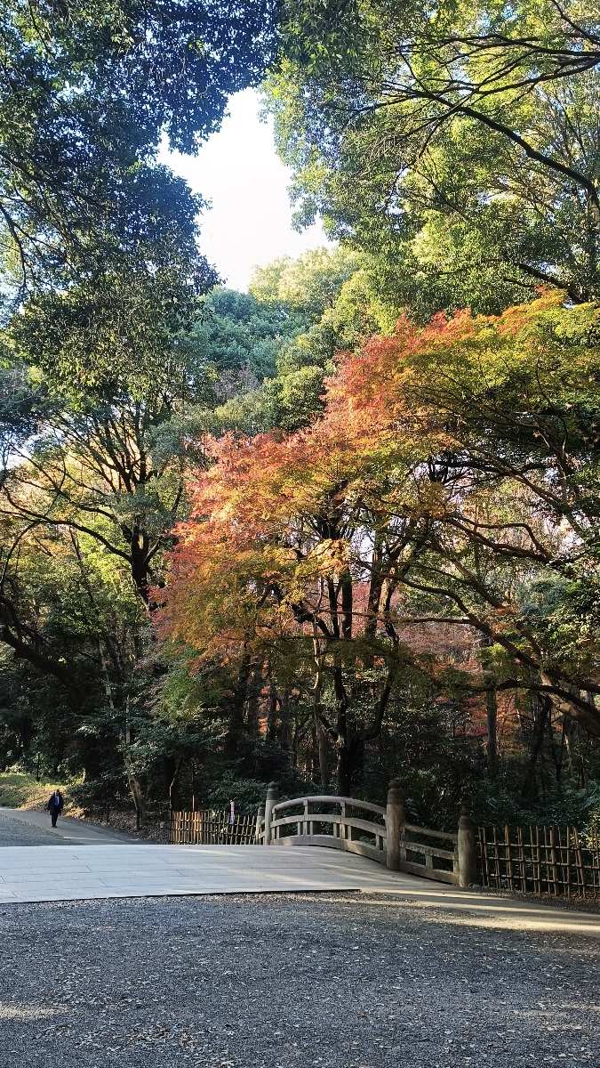 明治神宮 | 去趣 chicTrip