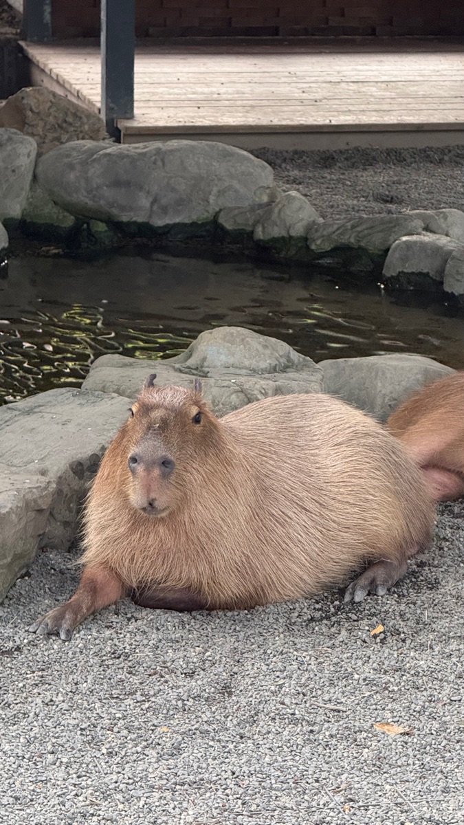 淨園農場 | 去趣 chicTrip