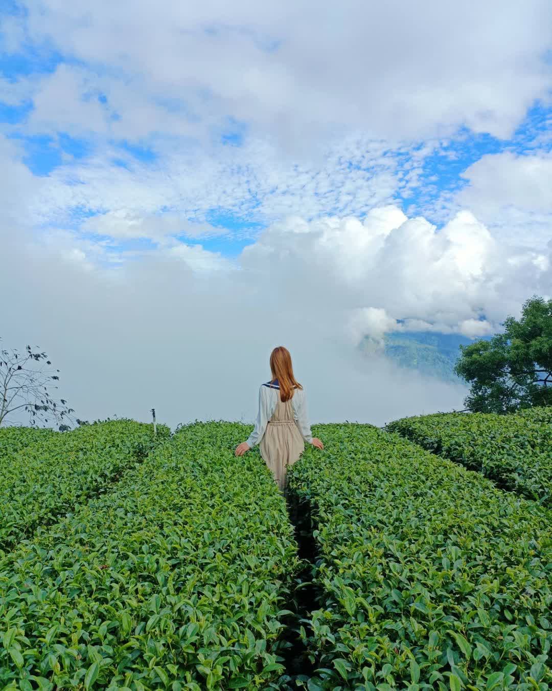 二延平步道 | 去趣 chicTrip