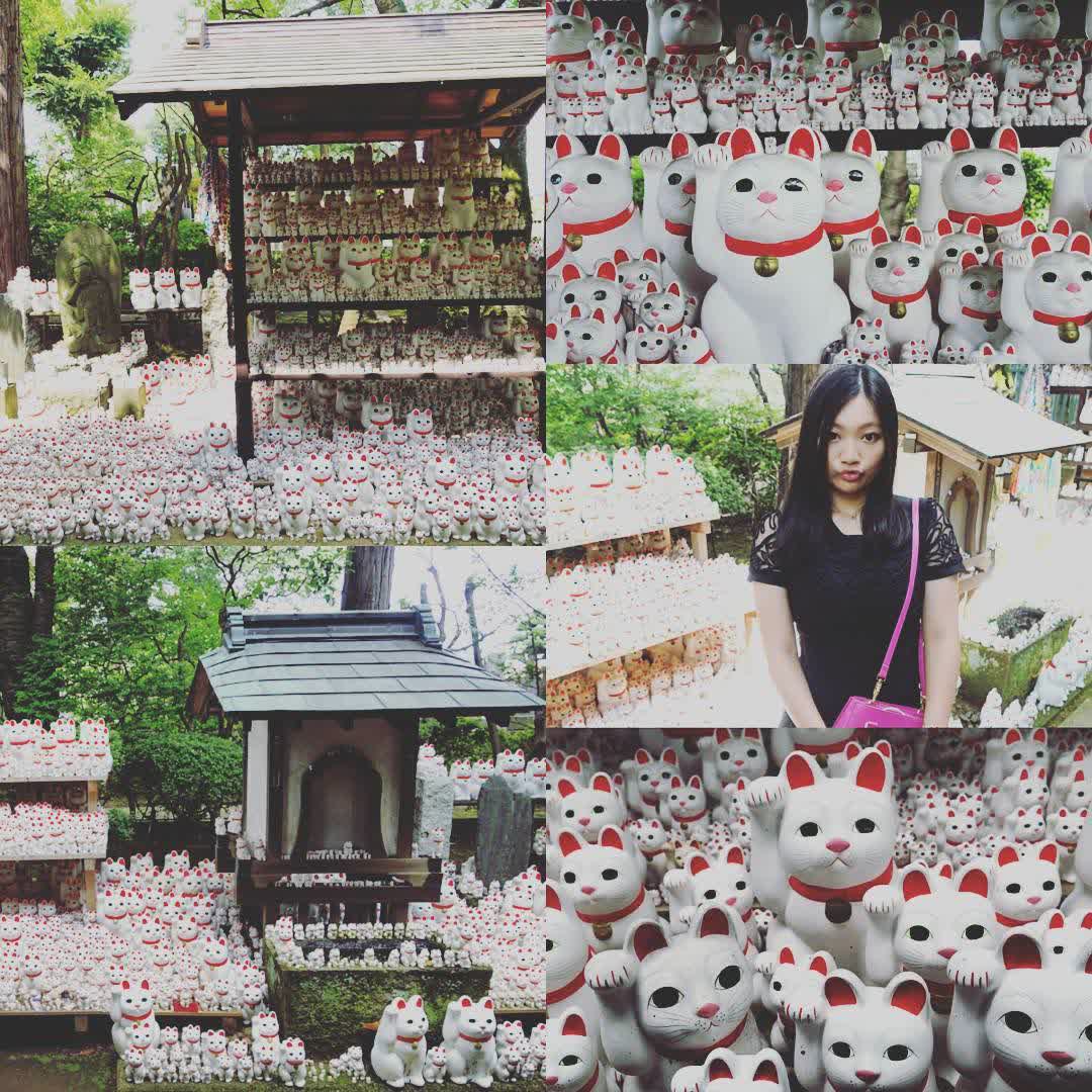 世田谷 豪德寺 | 去趣 chicTrip