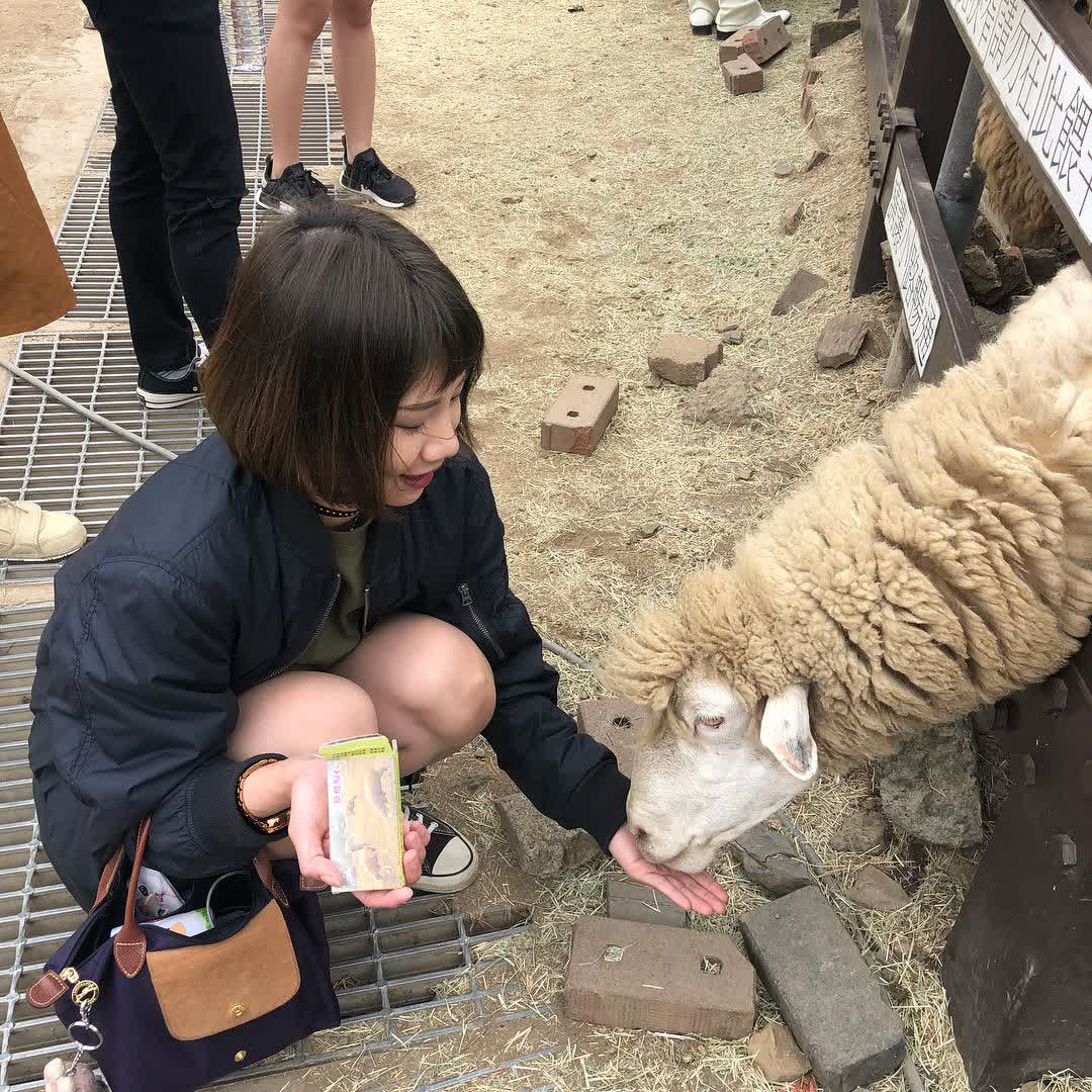 清境農場青青草原 | 去趣 chicTrip