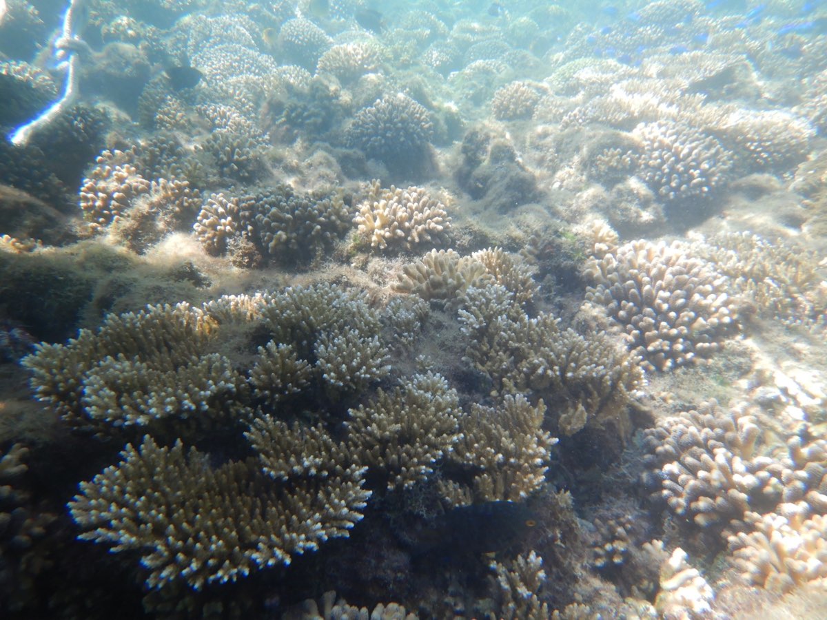 金瓜仔礁（忘憂島） | 去趣 chicTrip