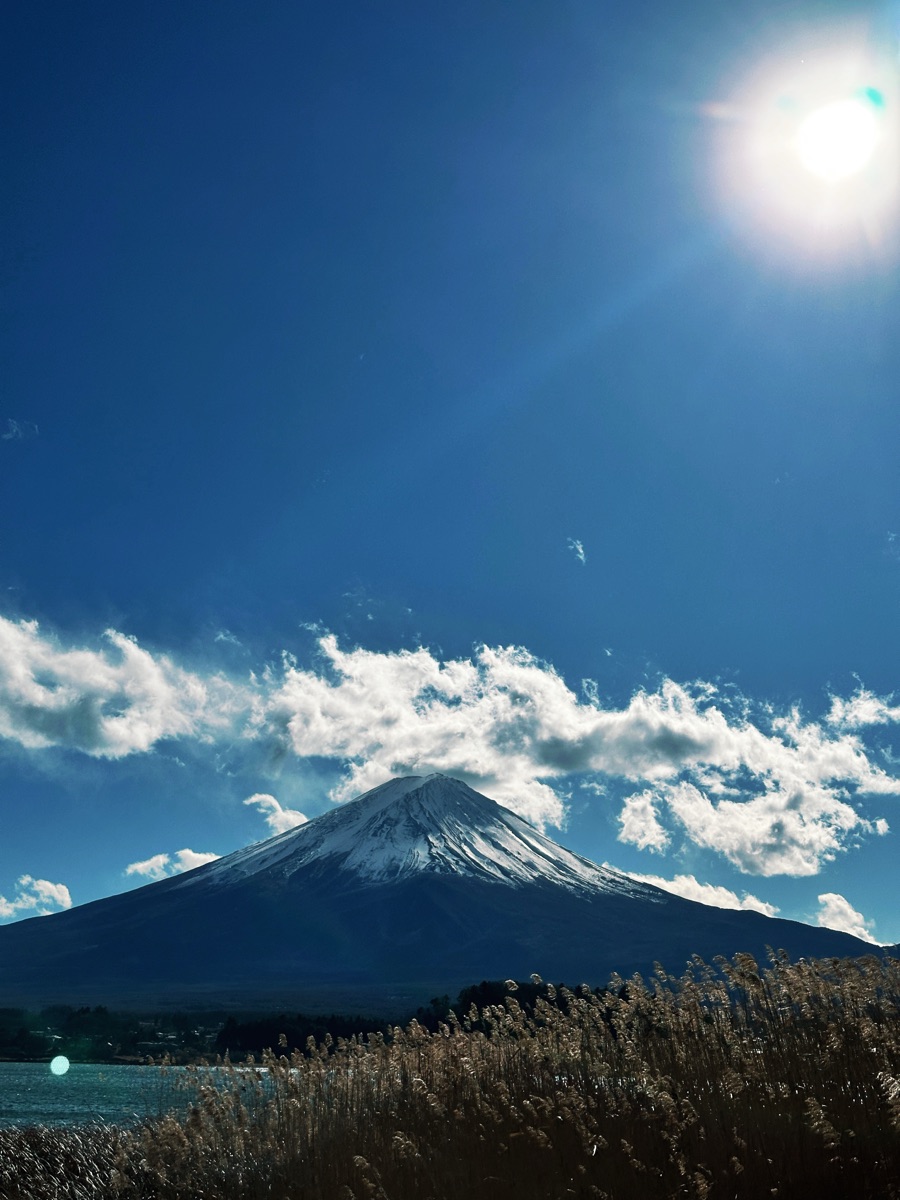 大石公園 | 去趣 chicTrip
