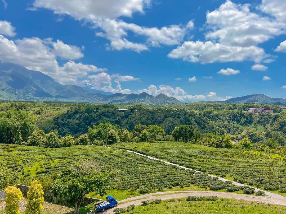 鹿篙咖啡莊園 | 去趣 chicTrip