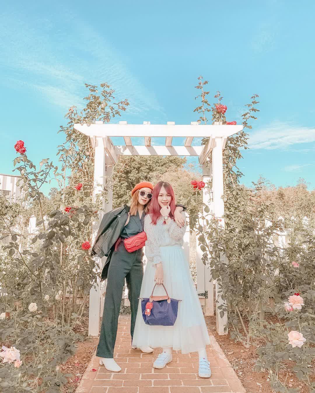 玫瑰山谷（禁帶寵物