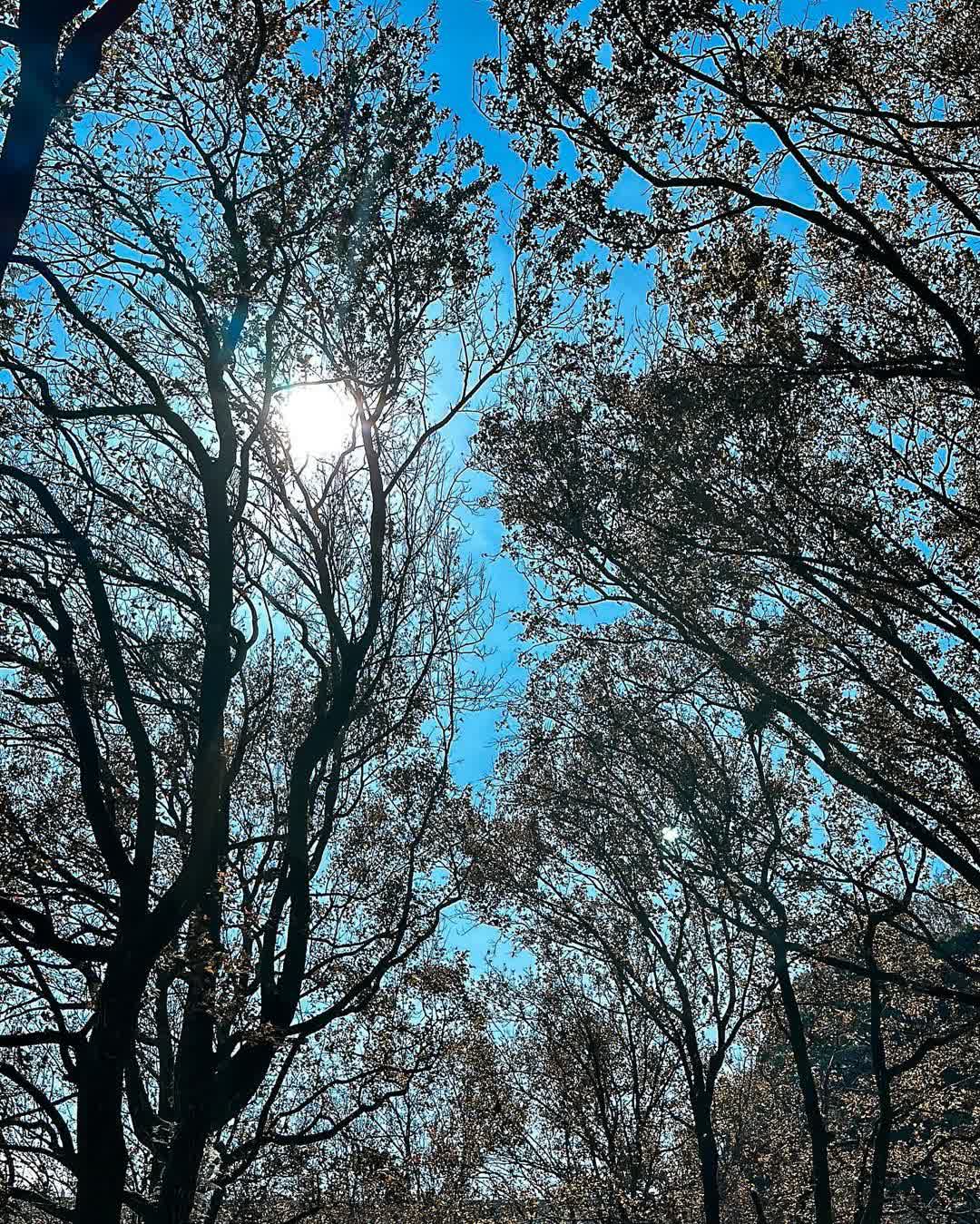 石門水庫 | 去趣 chicTrip