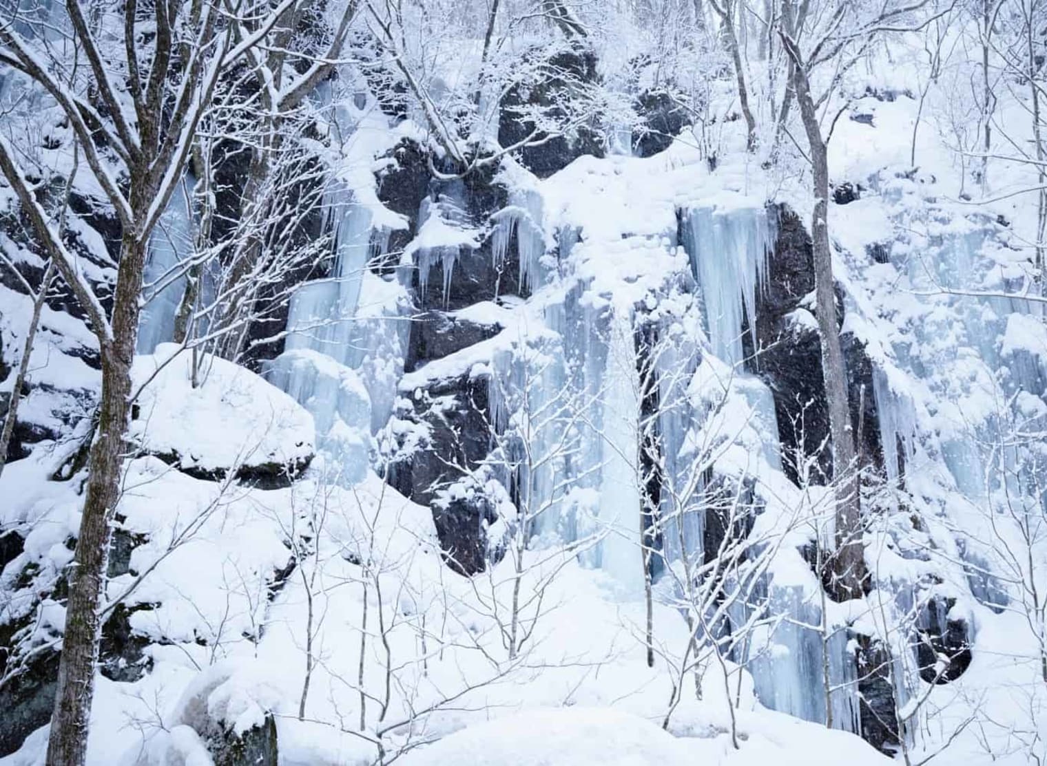 星野集團 奧入瀨溪流酒店 | 去趣 chicTrip