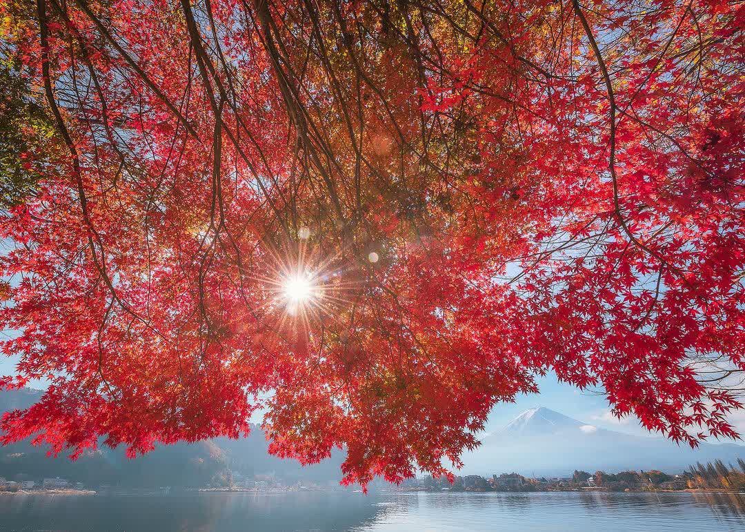 河口湖 | 去趣 chicTrip