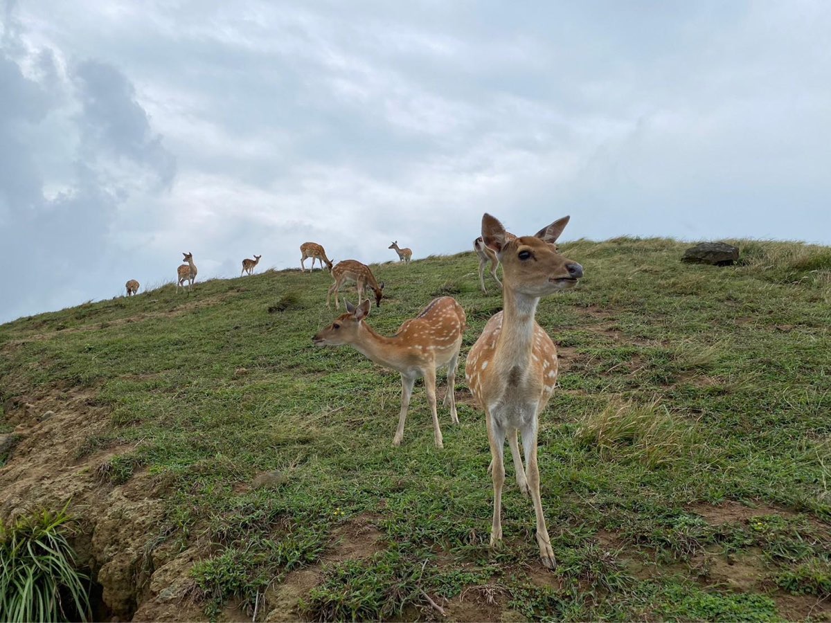 大坵島 | 去趣 chicTrip
