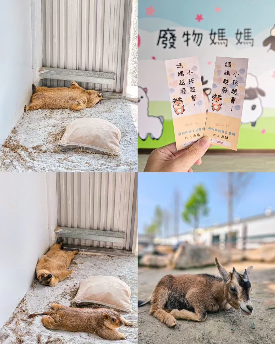 廢物媽媽育兒農場 | 去趣 chicTrip