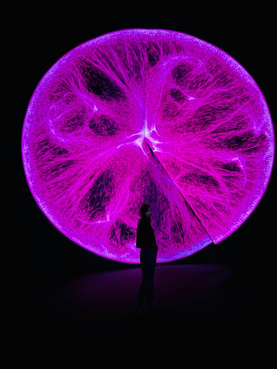 ARTE MUSEUM Busan | 去趣 chicTrip