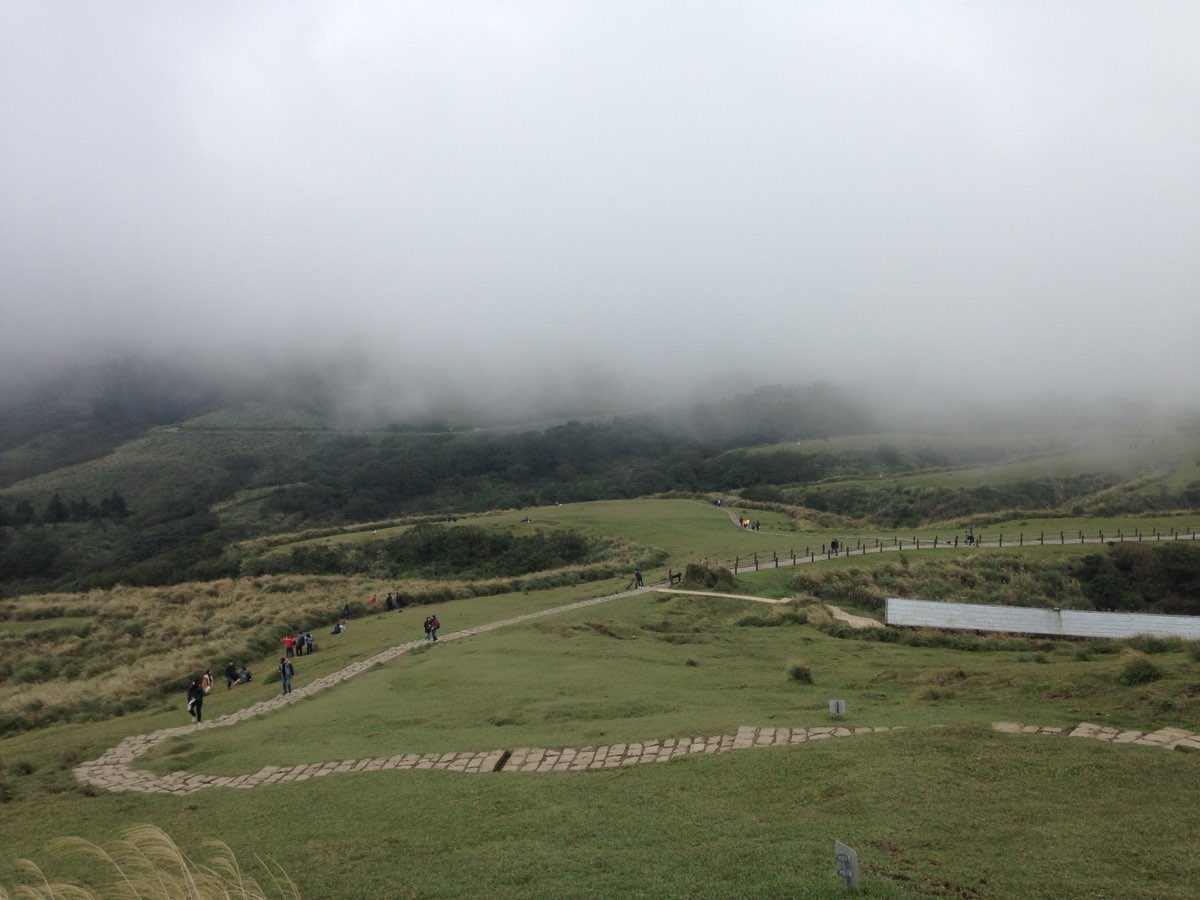 擎天崗 | 去趣 chicTrip