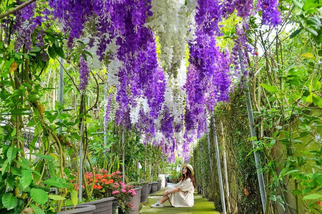 九品蓮花生態教育園區