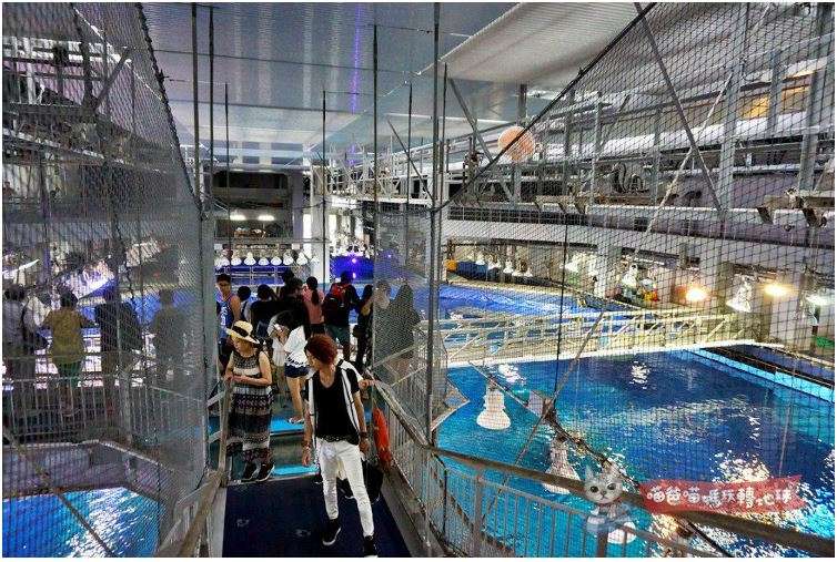 海洋博公園 | 去趣 chicTrip