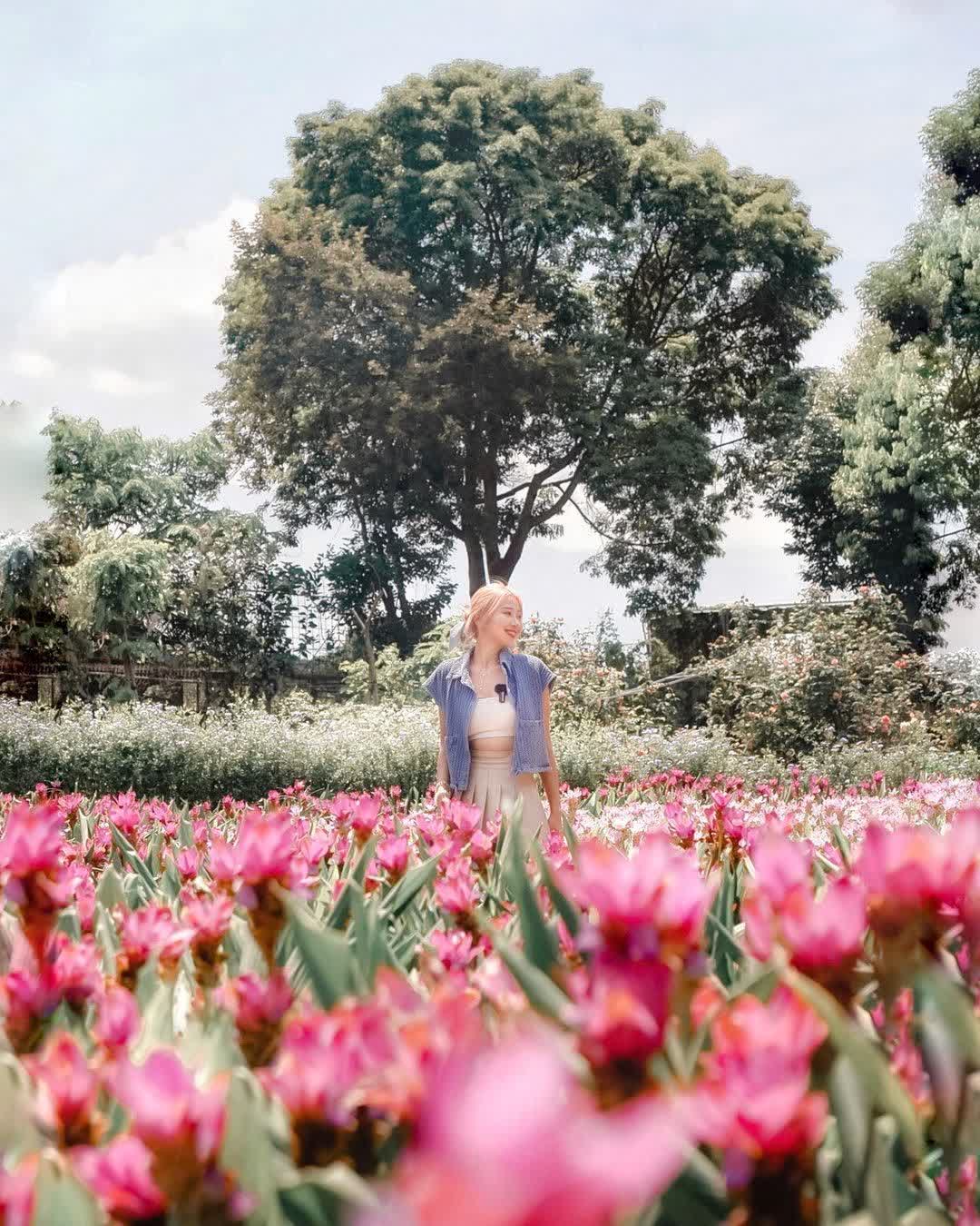 花露農場 Flower Home | 去趣 chicTrip