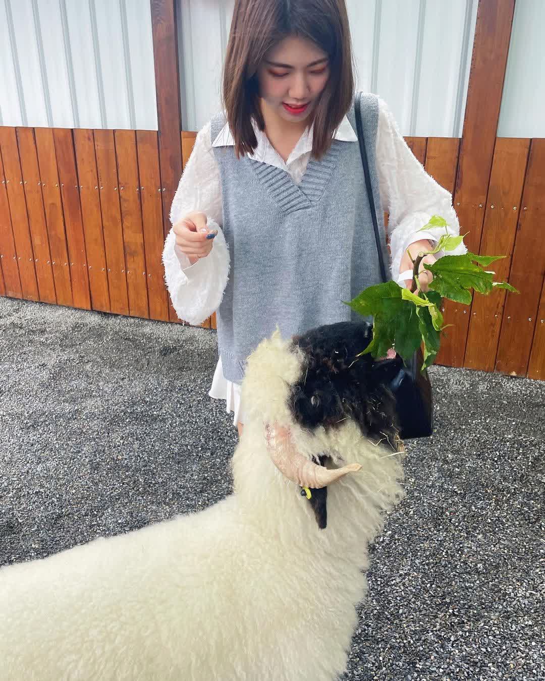 張美阿嬤農場（月森甯手作工坊） | 去趣 chicTrip