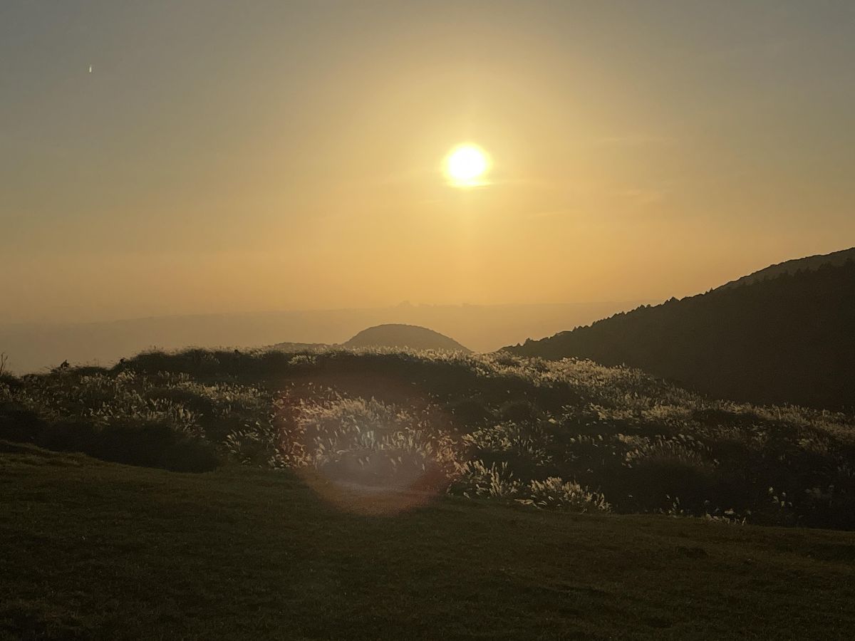 擎天崗 | 去趣 chicTrip