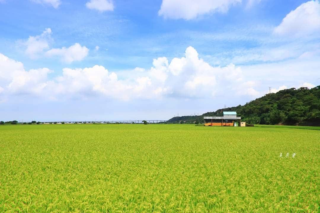 外埔忘憂谷 | 去趣 chicTrip