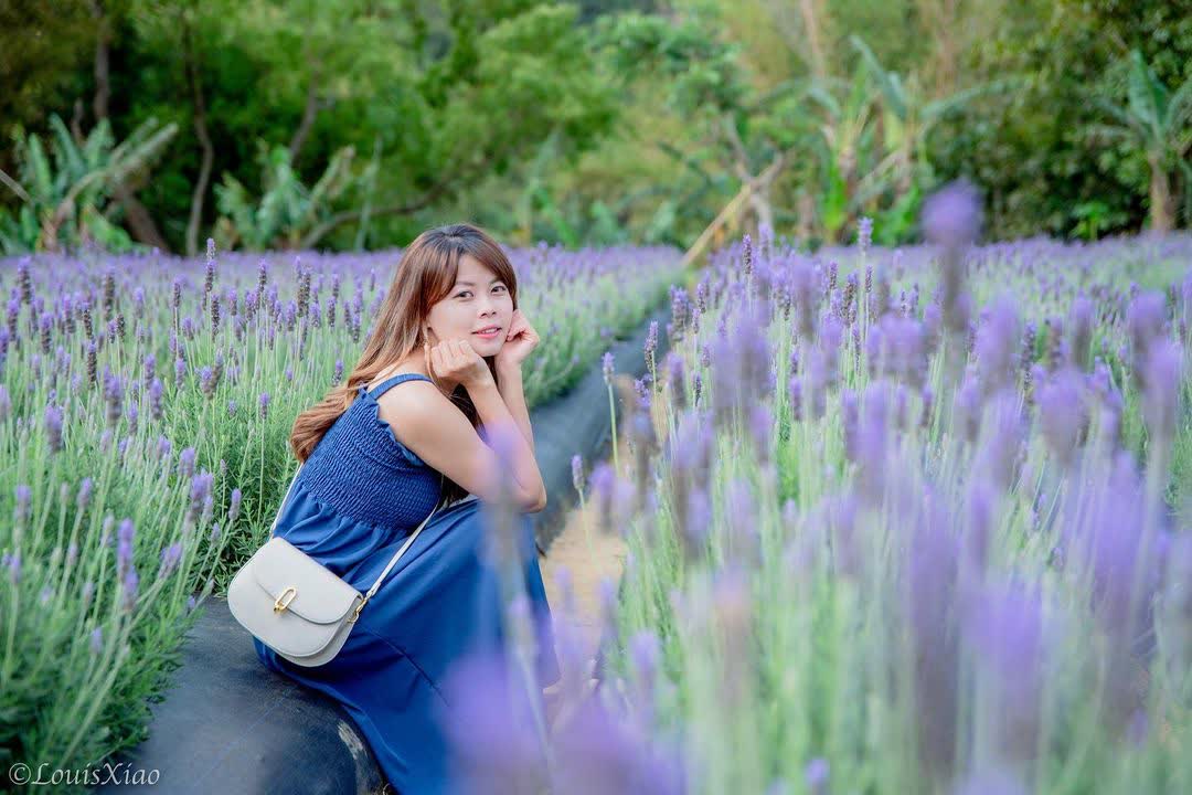 葛瑞絲香草田 | 去趣 chicTrip