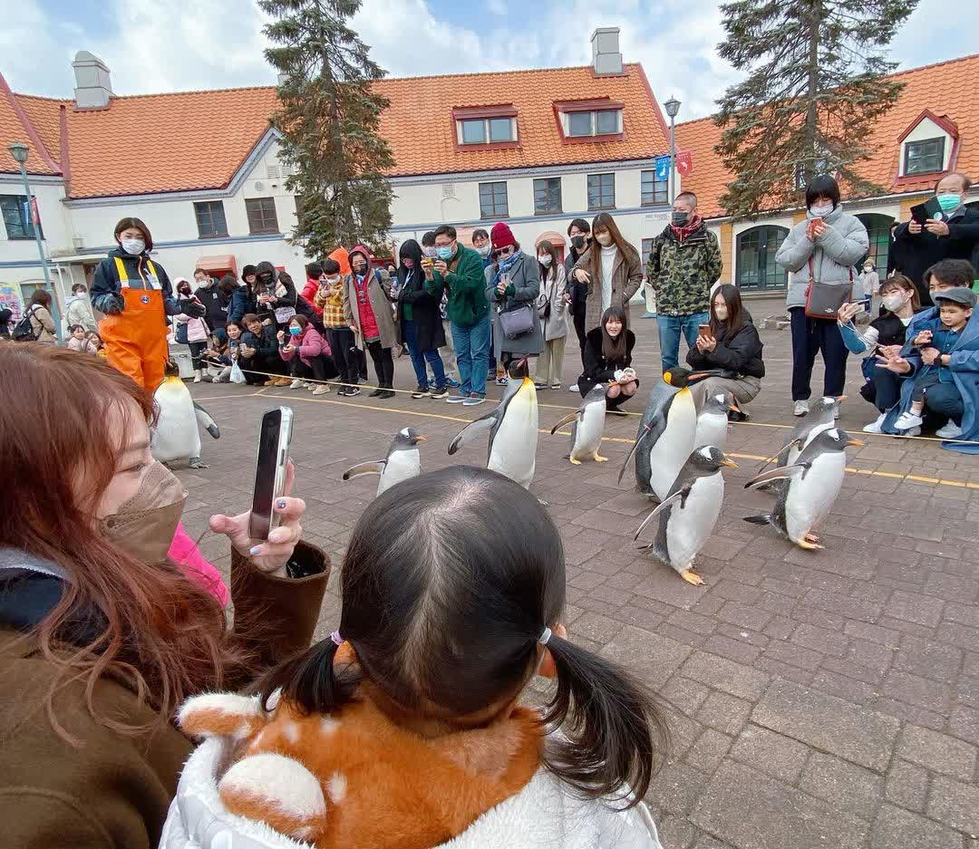 登別尼克斯海洋公園 | 去趣 chicTrip