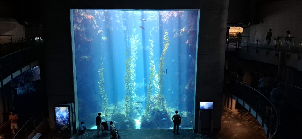 國立海洋生物博物館 | 去趣 chicTrip