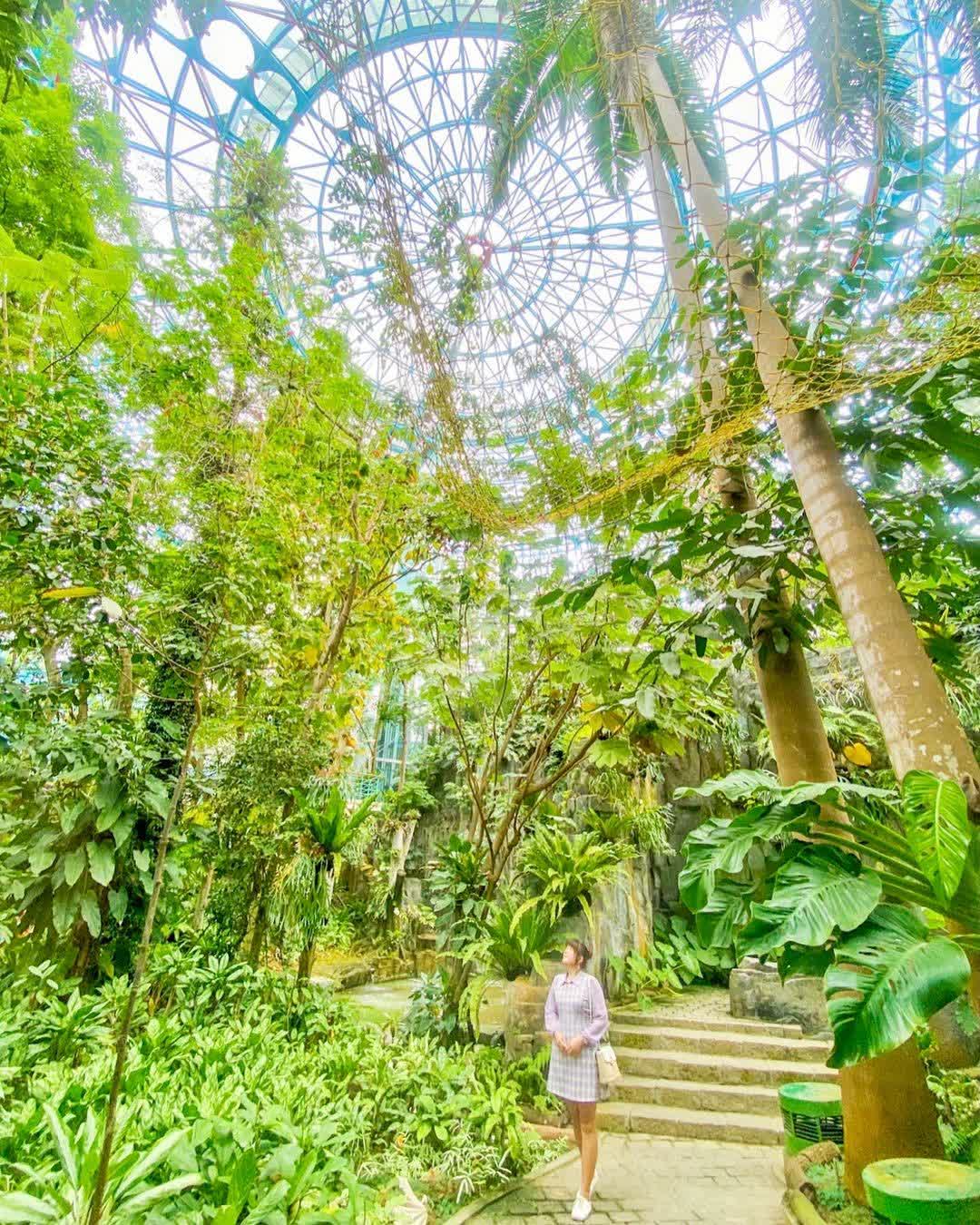 國立自然科學博物館