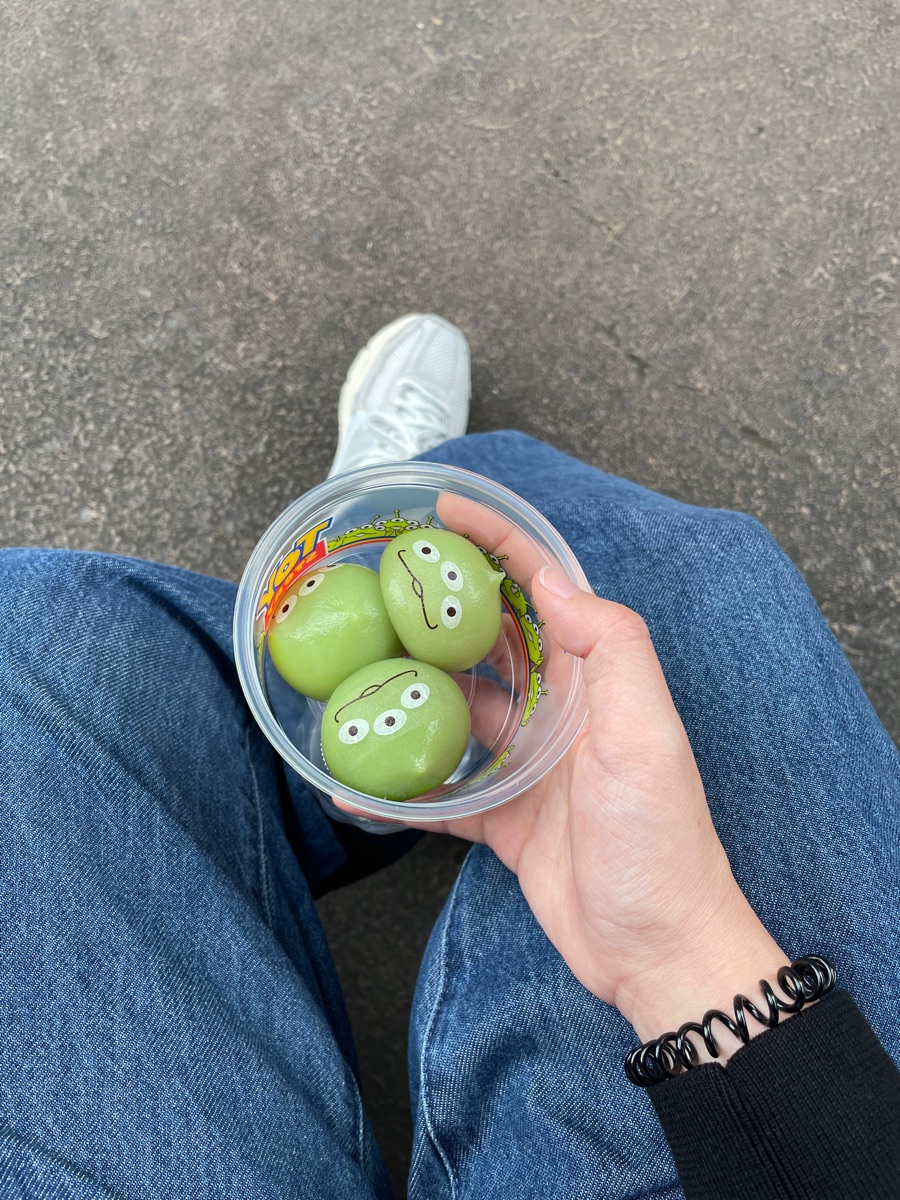 東京迪士尼海洋 | 去趣 chicTrip