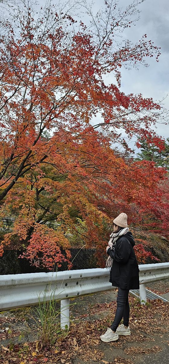 河口湖楓葉迴廊 | 去趣 chicTrip