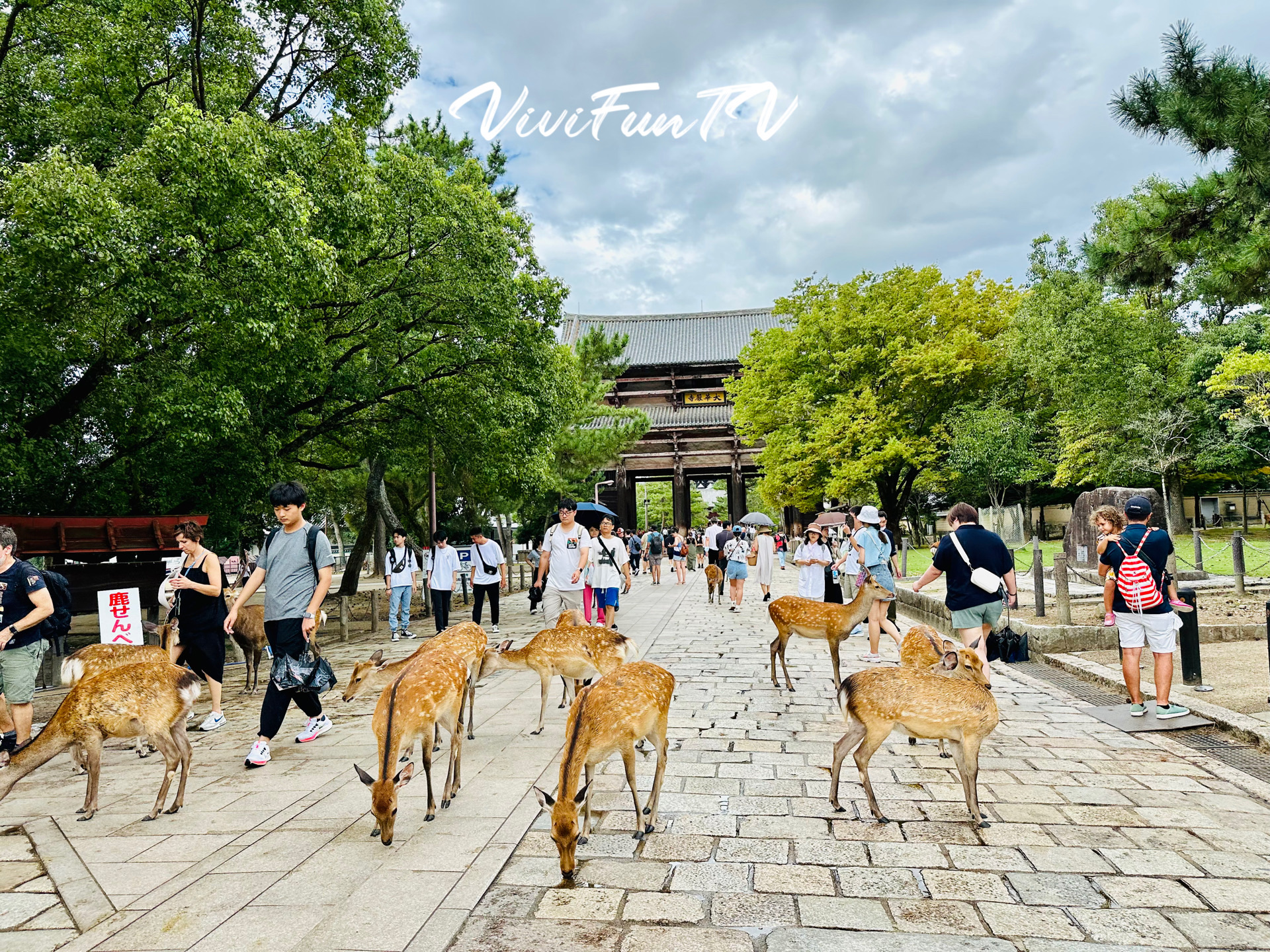 東大寺 南大門 | 去趣 chicTrip