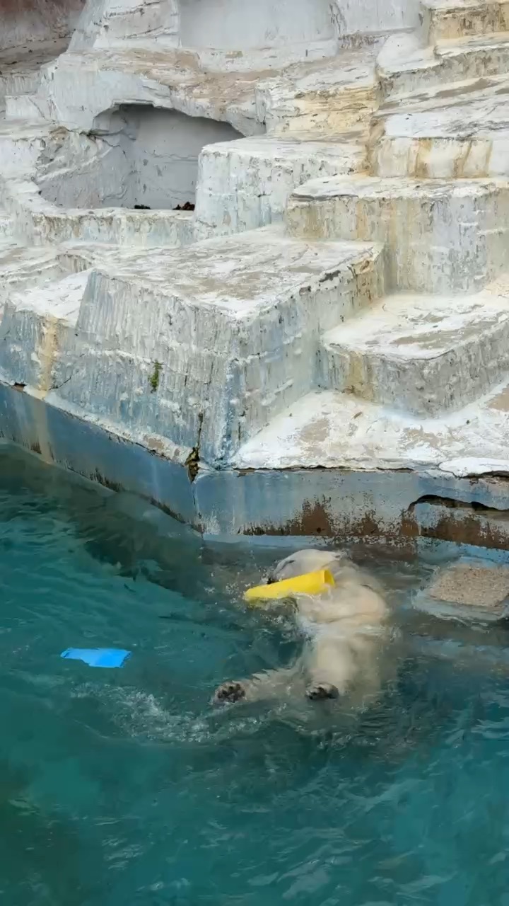 大阪市天王寺動物園 | 去趣 chicTrip