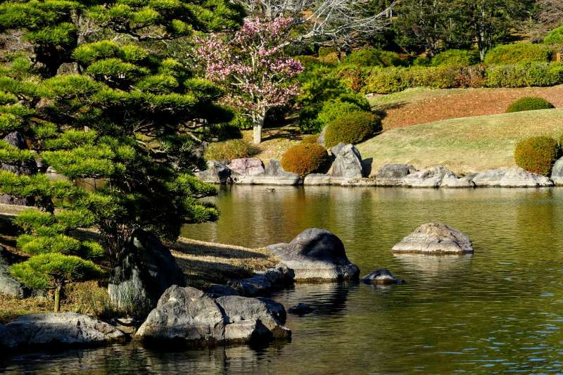 Japanese Garden | 去趣 chicTrip