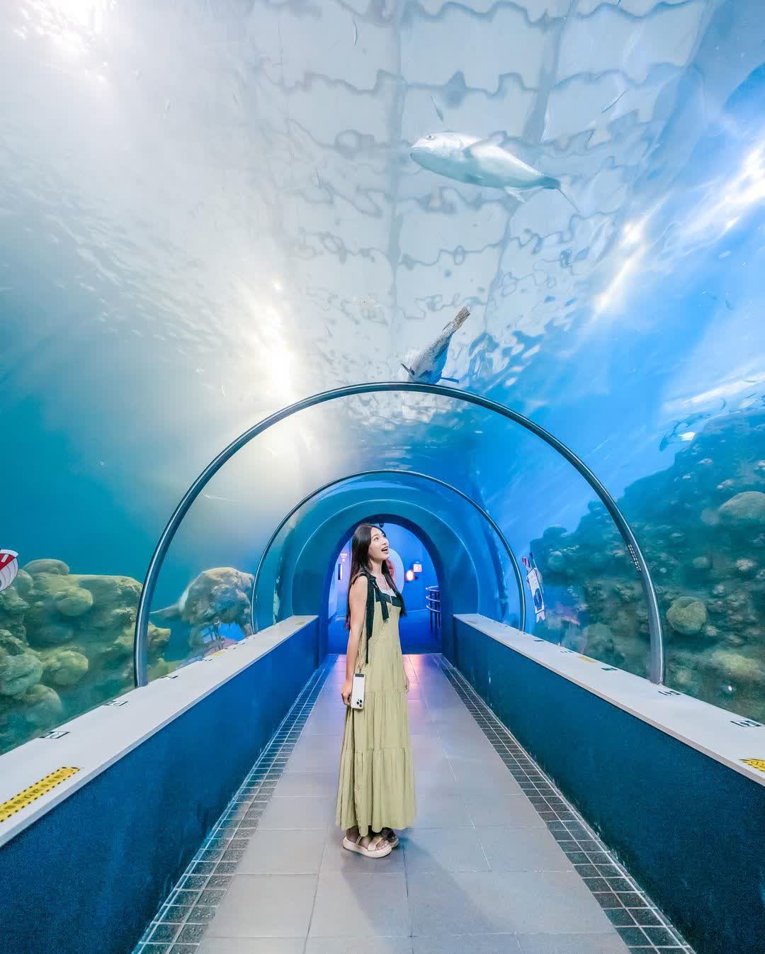 澎湖水族館 | 去趣 chicTrip