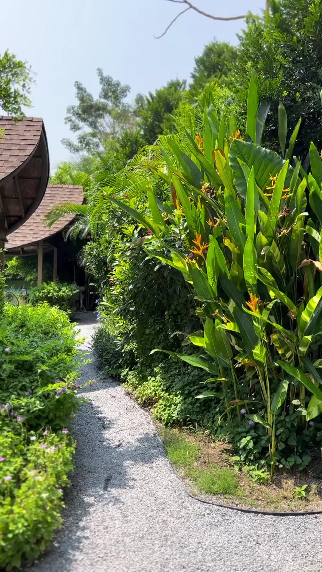 Bubble in the Forest Cafe | 去趣 chicTrip