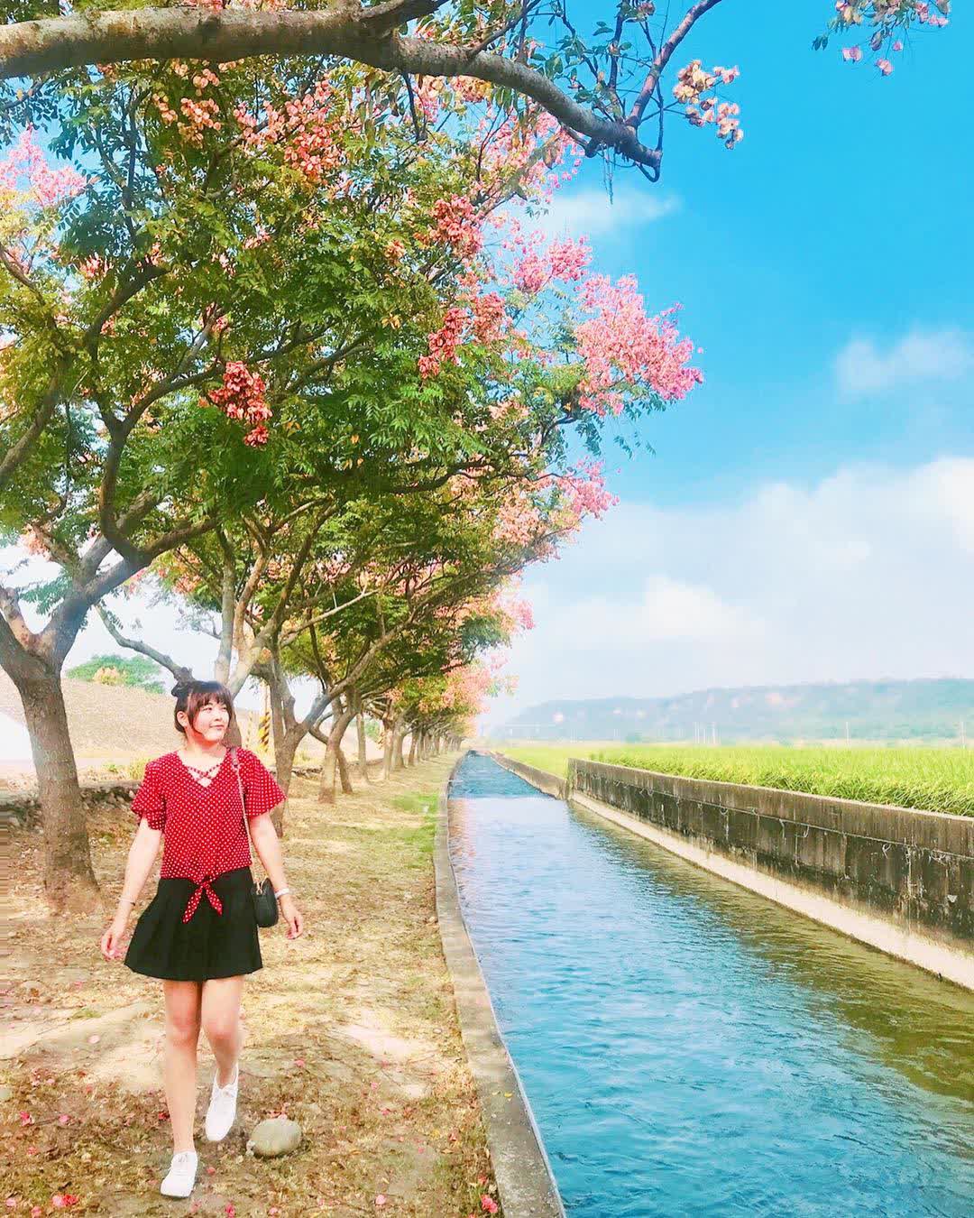 外埔忘憂谷 | 去趣 chicTrip