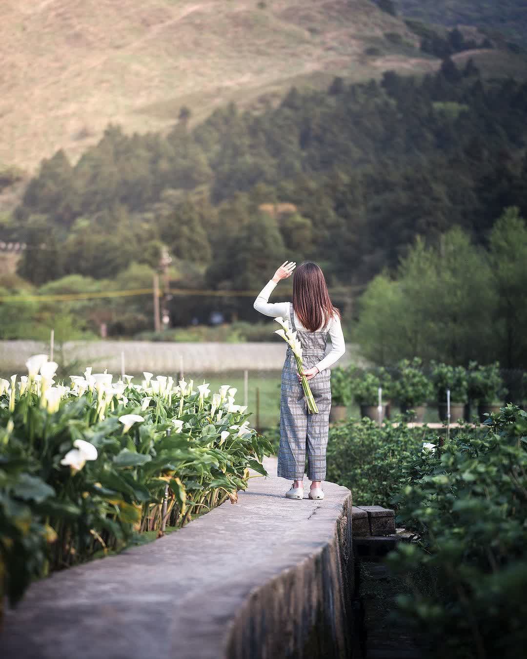 陽明山國家公園 | 去趣 chicTrip