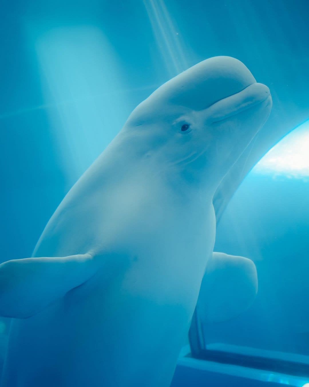 國立海洋生物博物館 | 去趣 chicTrip