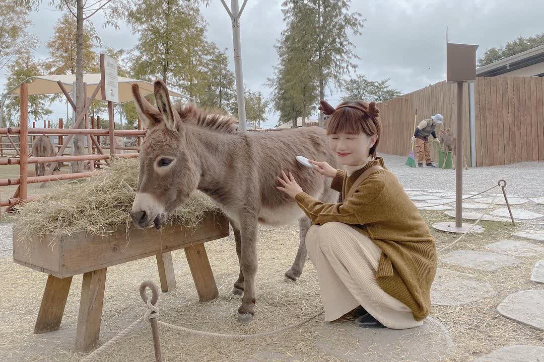 宜蘭-斑比山丘 | 去趣 chicTrip