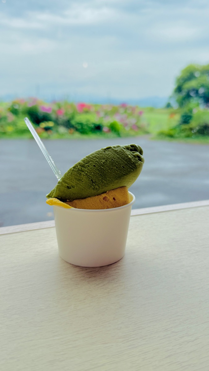 Lake Hill Farm | 去趣 chicTrip
