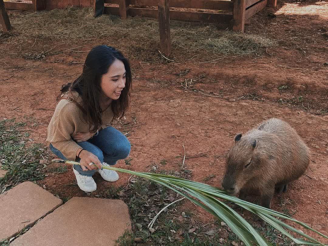 埔心牧場 | 去趣 chicTrip