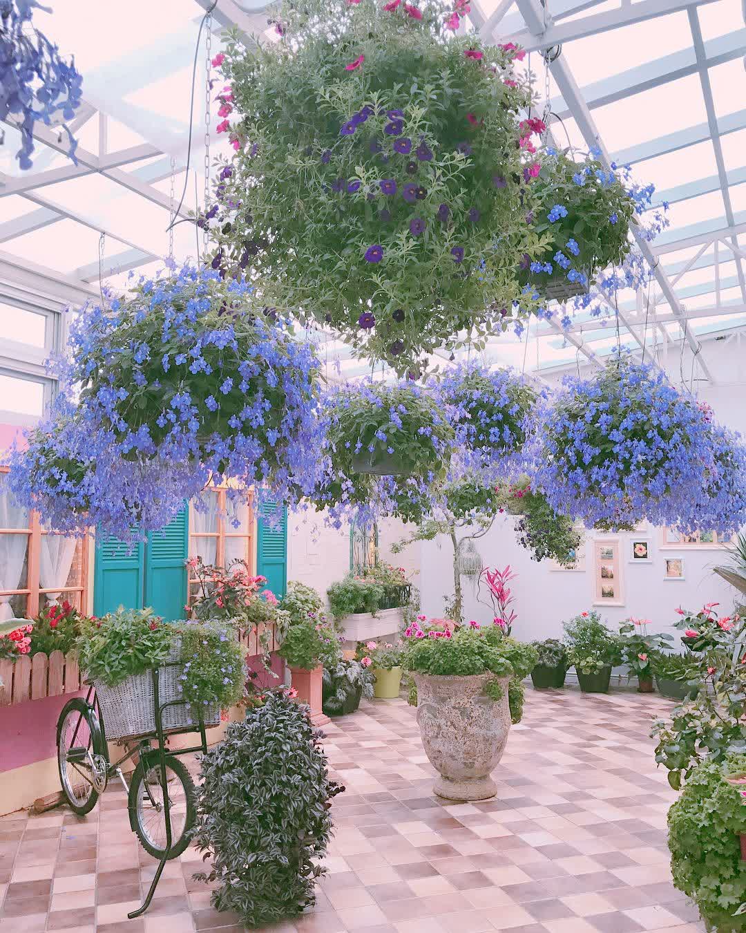 菁芳園 落羽松景觀餐廳 | 去趣 chicTrip