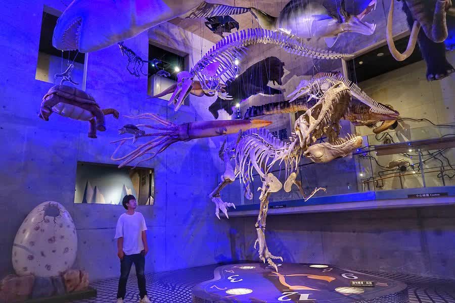 臺南左鎮化石園區(16:00截止售票、17:00閉館) | 去趣 chicTrip