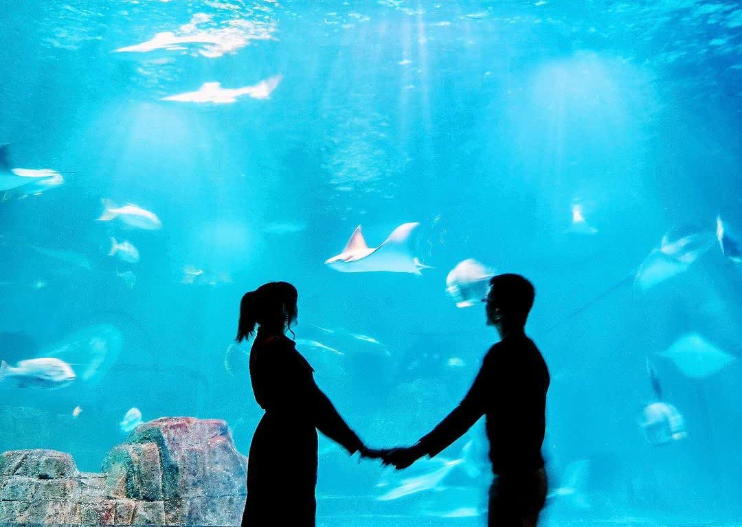 遠雄海洋公園 | 去趣 chicTrip